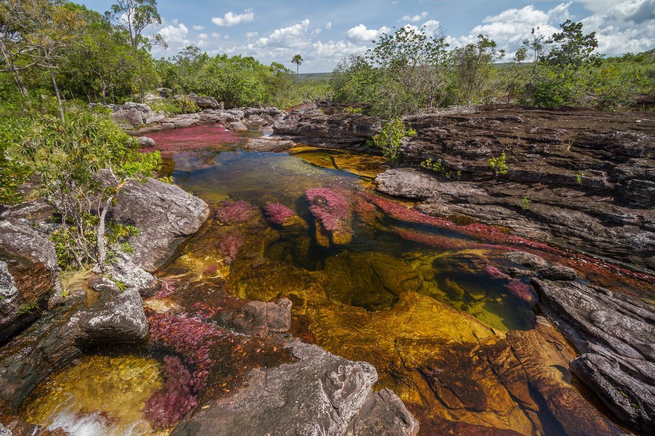 La Manigua Lodge La Macarena Екстериор снимка